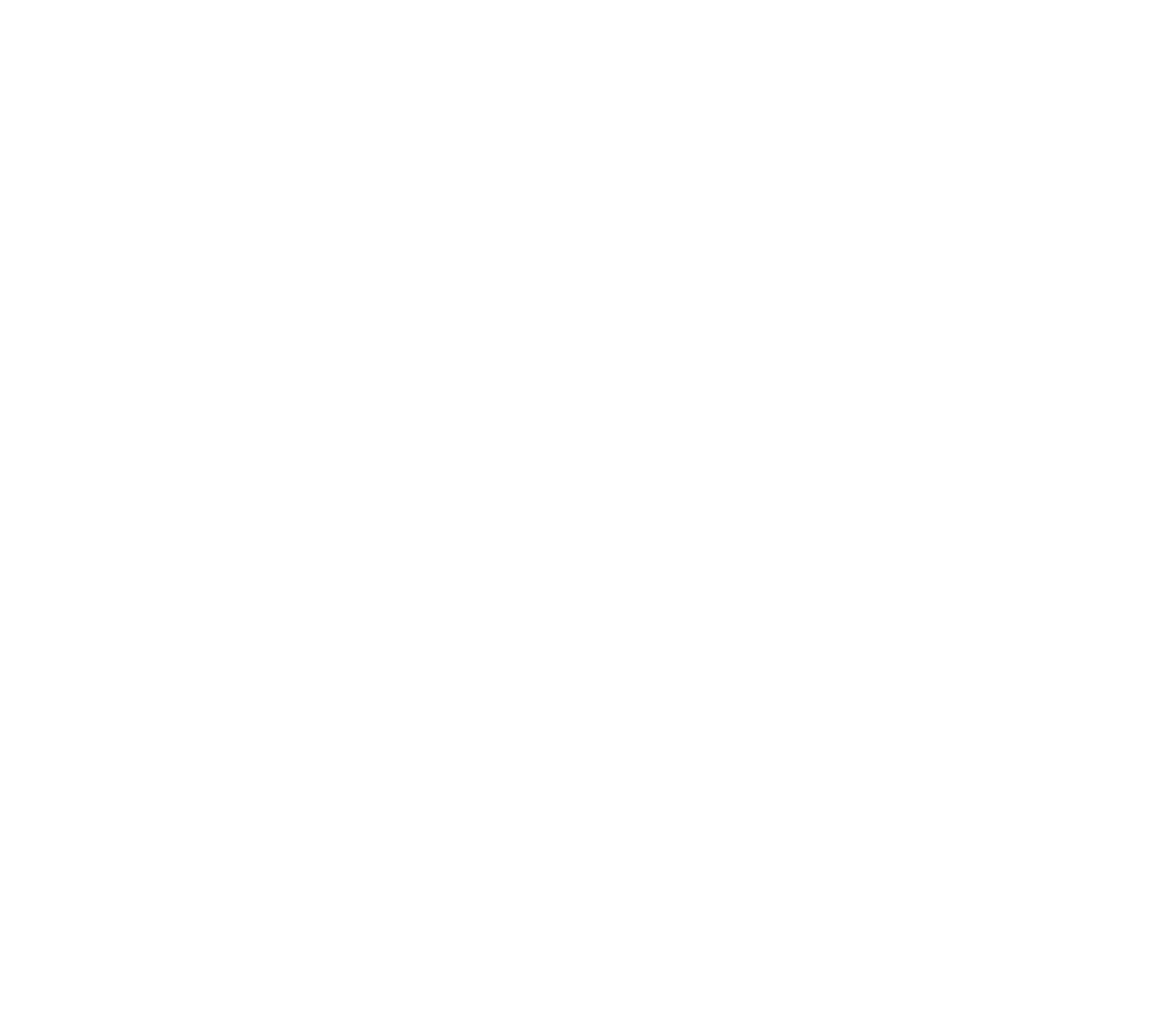 Logo MAITSI